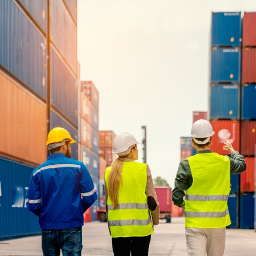 Export Promotion Capital Goods